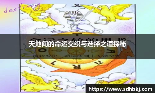天地间的命运交织与选择之道探秘